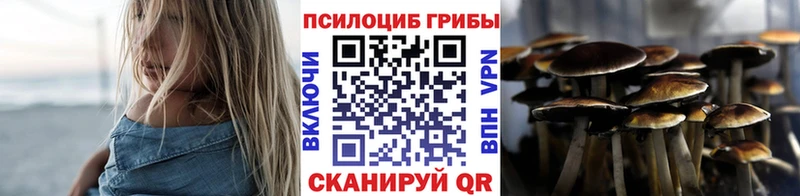 KRAKEN   Новый Оскол  Псилоцибиновые грибы Psilocybe 
